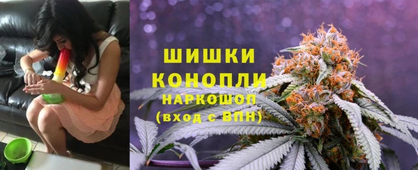 стафф Волоколамск