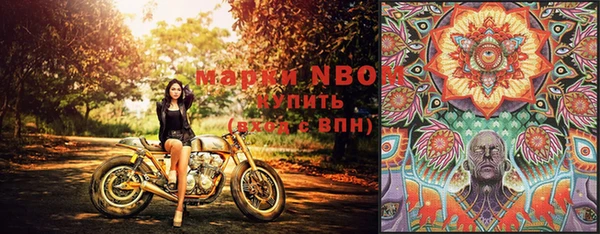 ешки Володарск
