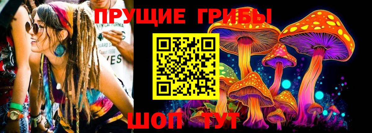 Галлюциногенные грибы ЛСД  Вход с VPN  Северобайкальск 